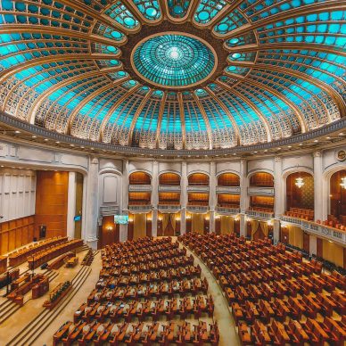 Government & Public Sector